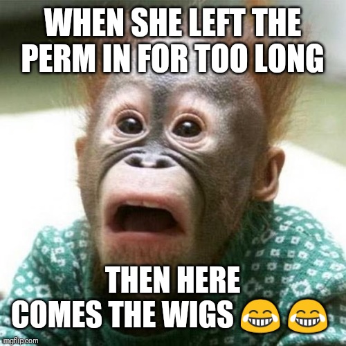 Shocked Monkey | WHEN SHE LEFT THE PERM IN FOR TOO LONG; THEN HERE COMES THE WIGS 😂 😂 | image tagged in shocked monkey | made w/ Imgflip meme maker