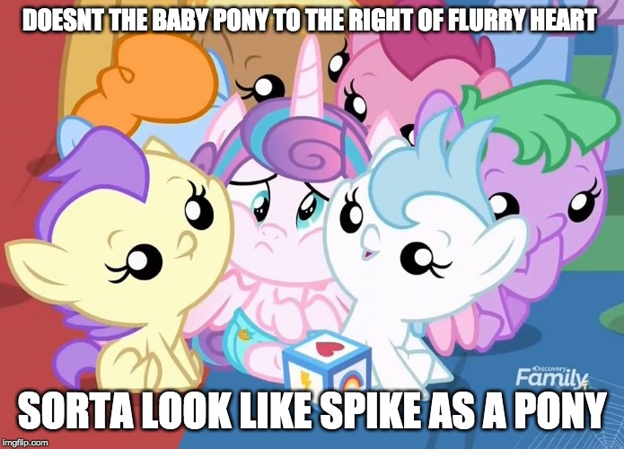 DOESNT THE BABY PONY TO THE RIGHT OF FLURRY HEART; SORTA LOOK LIKE SPIKE AS A PONY | image tagged in crouding flurry hart | made w/ Imgflip meme maker