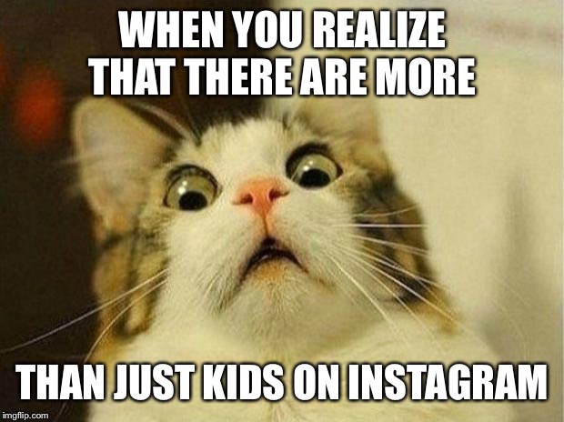 Scared Cat | WHEN YOU REALIZE THAT THERE ARE MORE; THAN JUST KIDS ON INSTAGRAM | image tagged in memes,scared cat | made w/ Imgflip meme maker