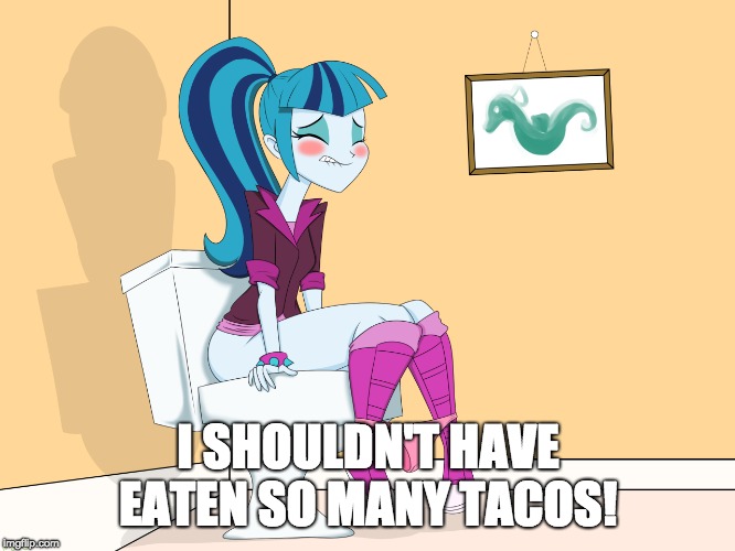 It's Taco Tuesday! | I SHOULDN'T HAVE EATEN SO MANY TACOS! | image tagged in memes,tacos,taco tuesday,sonata dusk it's taco tuesday,sonata dusk,bathroom | made w/ Imgflip meme maker