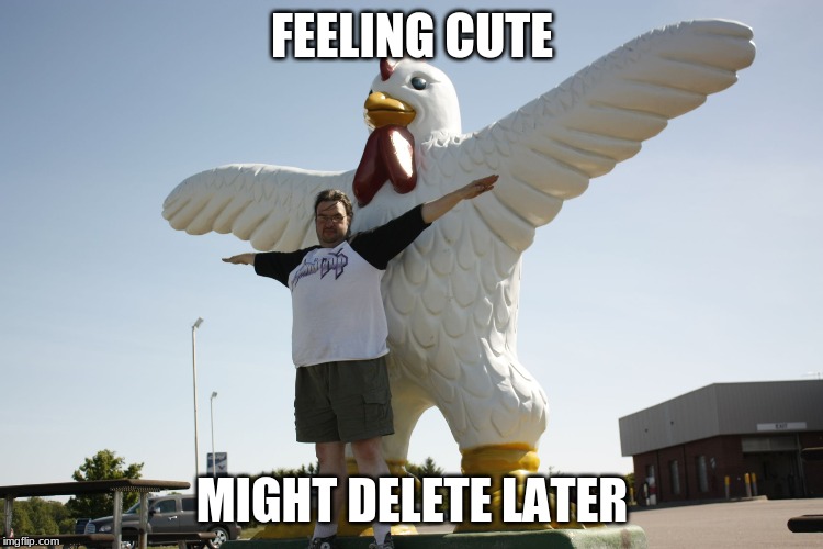 Chicken Boi | FEELING CUTE; MIGHT DELETE LATER | image tagged in chicken boi | made w/ Imgflip meme maker