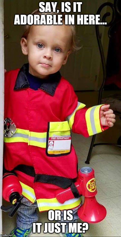 FIREMAN | SAY, IS IT ADORABLE IN HERE... OR IS IT JUST ME? | image tagged in grandchildren | made w/ Imgflip meme maker