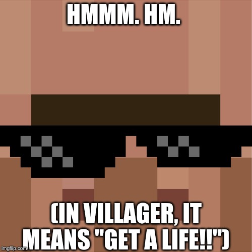 Minecraft Villager | HMMM. HM. (IN VILLAGER, IT MEANS "GET A LIFE!!") | image tagged in minecraft villager | made w/ Imgflip meme maker