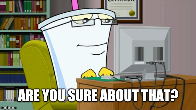 Master shake on a computer | ARE YOU SURE ABOUT THAT? | image tagged in master shake on a computer | made w/ Imgflip meme maker