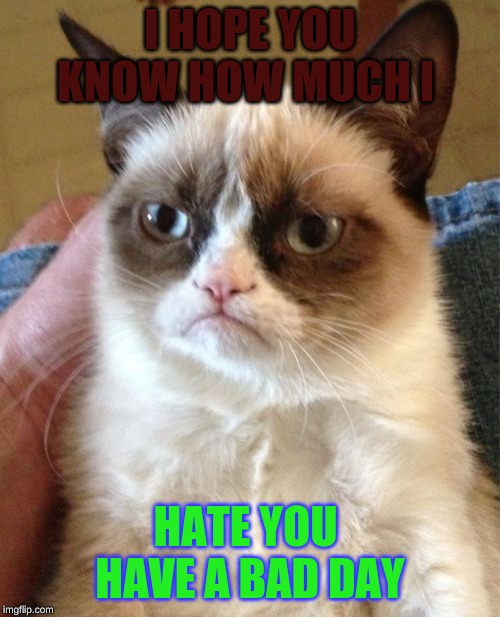 Grumpy Cat | I HOPE YOU KNOW HOW MUCH I; HATE YOU 
HAVE A BAD DAY | image tagged in memes,grumpy cat | made w/ Imgflip meme maker