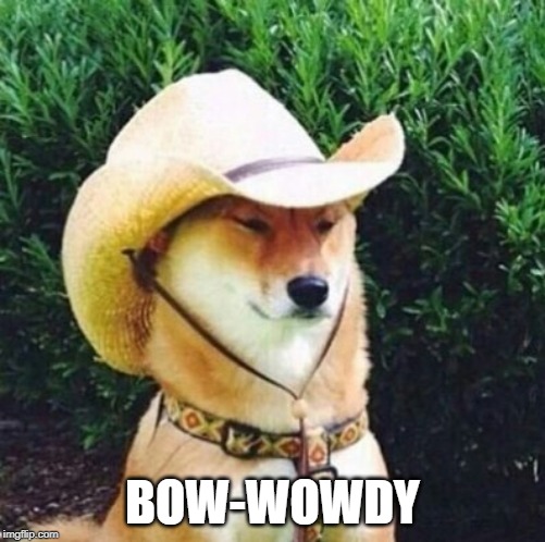 Wot in Tarnation Dog | BOW-WOWDY | image tagged in wot in tarnation dog | made w/ Imgflip meme maker