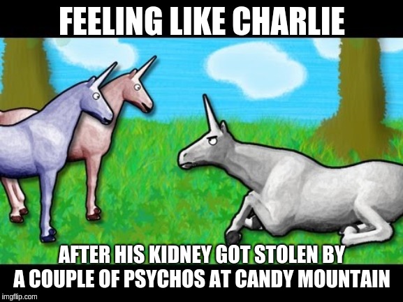 Charlie unicorn | FEELING LIKE CHARLIE; AFTER HIS KIDNEY GOT STOLEN BY A COUPLE OF PSYCHOS AT CANDY MOUNTAIN | image tagged in charlie unicorn | made w/ Imgflip meme maker