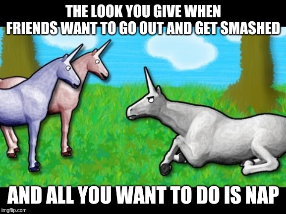 Charlie unicorn | THE LOOK YOU GIVE WHEN FRIENDS WANT TO GO OUT AND GET SMASHED; AND ALL YOU WANT TO DO IS NAP | image tagged in charlie unicorn | made w/ Imgflip meme maker