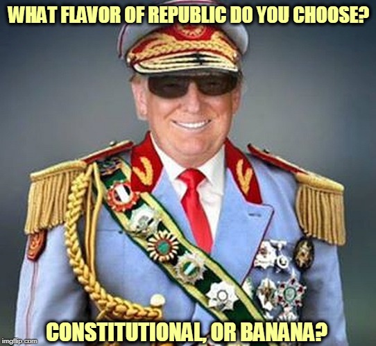 Generalissimo Donald Trump of the Banana Republic | WHAT FLAVOR OF REPUBLIC DO YOU CHOOSE? CONSTITUTIONAL, OR BANANA? | image tagged in generalissimo donald trump of the banana republic,trump,dictator,banana,tyrant | made w/ Imgflip meme maker
