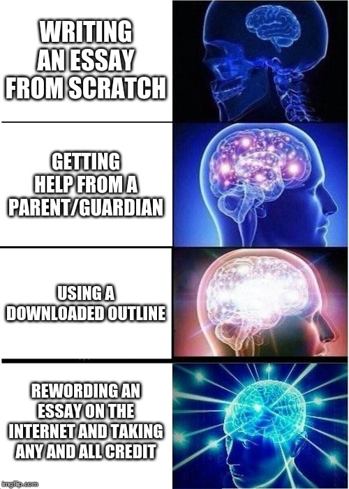 Writing an essay | WRITING AN ESSAY FROM SCRATCH; GETTING HELP FROM A PARENT/GUARDIAN; USING A DOWNLOADED OUTLINE; REWORDING AN ESSAY ON THE INTERNET AND TAKING ANY AND ALL CREDIT | image tagged in memes,expanding brain | made w/ Imgflip meme maker