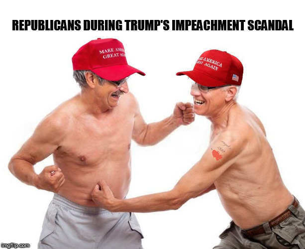 magats | REPUBLICANS DURING TRUMP'S IMPEACHMENT SCANDAL | image tagged in magats,republicans,trump supporters,impeach trump,trump impeachment,fighting | made w/ Imgflip meme maker