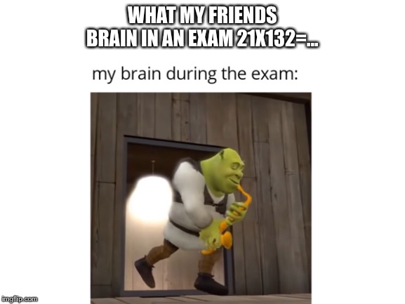 Me in an exam | WHAT MY FRIENDS BRAIN IN AN EXAM 21X132=... | image tagged in shrek,exams | made w/ Imgflip meme maker