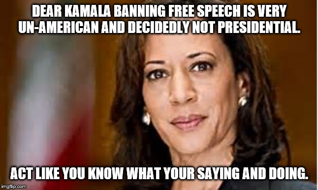 DEAR KAMALA BANNING FREE SPEECH IS VERY UN-AMERICAN AND DECIDEDLY NOT PRESIDENTIAL. ACT LIKE YOU KNOW WHAT YOUR SAYING AND DOING. | image tagged in kamala harris,democrats | made w/ Imgflip meme maker