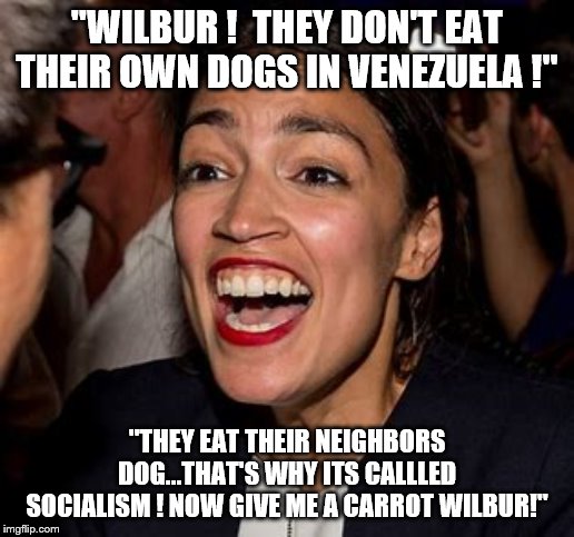 Mr.Ed and AOC | "WILBUR !  THEY DON'T EAT THEIR OWN DOGS IN VENEZUELA !"; "THEY EAT THEIR NEIGHBORS DOG...THAT'S WHY ITS CALLLED SOCIALISM ! NOW GIVE ME A CARROT WILBUR!" | image tagged in aoc,democrats,socialism | made w/ Imgflip meme maker