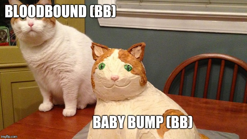 Cat and cat cake | BLOODBOUND (BB); BABY BUMP (BB) | image tagged in cat and cat cake,Choices | made w/ Imgflip meme maker