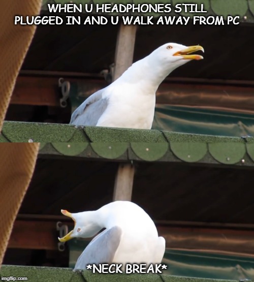 Headphones | WHEN U HEADPHONES STILL PLUGGED IN AND U WALK AWAY FROM PC; *NECK BREAK* | image tagged in funny | made w/ Imgflip meme maker