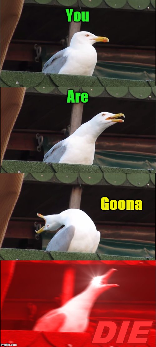 Inhaling Seagull | You; Are; Goona; DIE | image tagged in memes,inhaling seagull | made w/ Imgflip meme maker