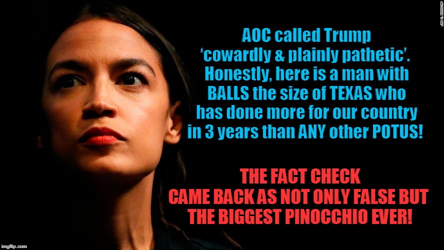 TRUMP has Big Balls and AOC has a Small Brain | AOC called Trump ‘cowardly & plainly pathetic’.  Honestly, here is a man with BALLS the size of TEXAS who has done more for our country in 3 years than ANY other POTUS! THE FACT CHECK CAME BACK AS NOT ONLY FALSE BUT 
THE BIGGEST PINOCCHIO EVER! | image tagged in politics,political meme,political,political memes,politician,lying politician | made w/ Imgflip meme maker