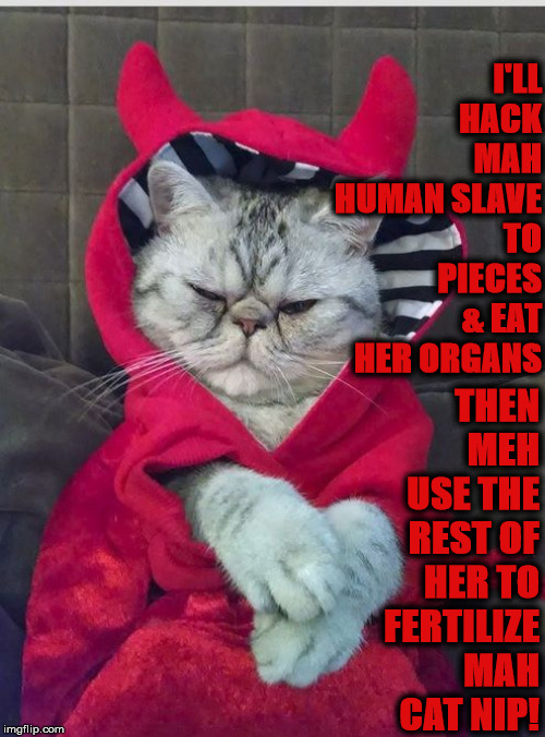 EVIL KITTY | I'LL HACK MAH HUMAN SLAVE TO PIECES & EAT HER ORGANS; THEN MEH USE THE REST OF HER TO FERTILIZE MAH CAT NIP! | image tagged in evil kitty | made w/ Imgflip meme maker