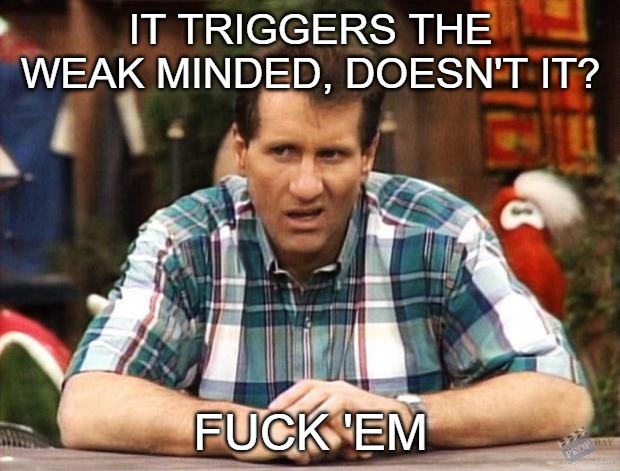 Al Bundy | IT TRIGGERS THE WEAK MINDED, DOESN'T IT? F**K 'EM | image tagged in al bundy | made w/ Imgflip meme maker