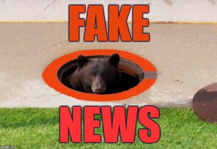 fake news | FAKE; NEWS | image tagged in fake news,fake,go bears | made w/ Imgflip meme maker