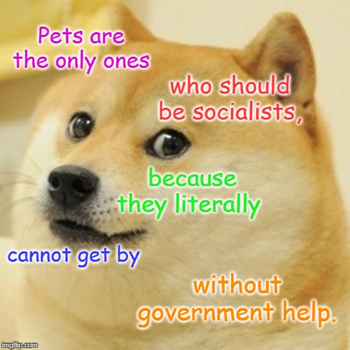 Doge Meme | Pets are the only ones; who should be socialists, because they literally; cannot get by; without government help. | image tagged in memes,doge | made w/ Imgflip meme maker