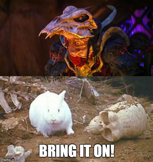 Should Have Brought the Holy Hand Grenade | BRING IT ON! | image tagged in killer rabbit,monty python and the holy grail | made w/ Imgflip meme maker