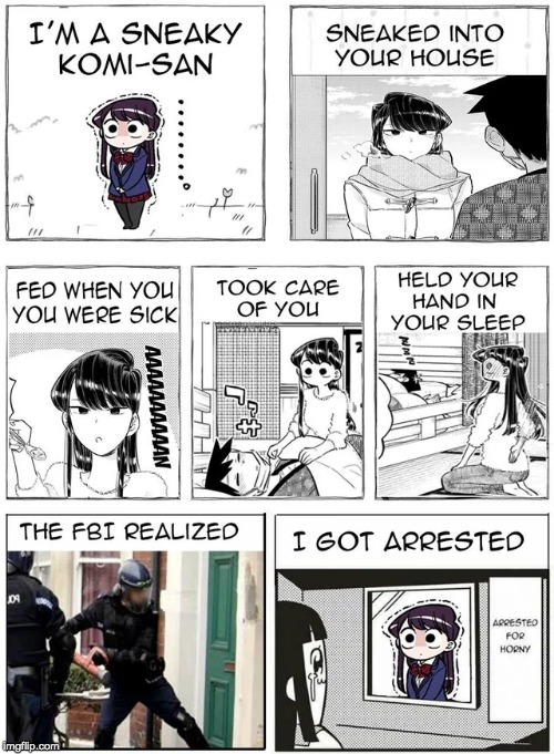 KOMI-SAN?! HOLDING HANDS?! THIS IS A WHOLE NEW LEVEL OF LEWD! CODE RED! WE HAVE A CODE RED! | image tagged in komi-san,lewd,memes,funny,anime,lewdlice | made w/ Imgflip meme maker