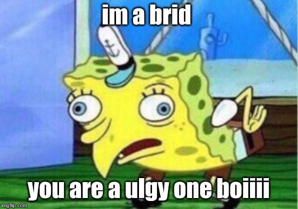 Mocking Spongebob Meme | im a brid; you are a ulgy one boiiii | image tagged in memes,mocking spongebob | made w/ Imgflip meme maker