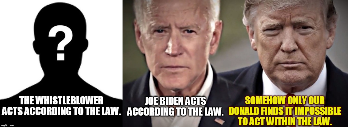 A congenital inability to follow the law | THE WHISTLEBLOWER ACTS ACCORDING TO THE LAW. JOE BIDEN ACTS ACCORDING TO THE LAW. SOMEHOW ONLY OUR DONALD FINDS IT IMPOSSIBLE TO ACT WITHIN THE LAW. | image tagged in trump,biden,whistleblower,law,lawlessness,criminal | made w/ Imgflip meme maker