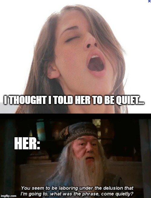 No Silence Here | I THOUGHT I TOLD HER TO BE QUIET... HER: | image tagged in orgasm | made w/ Imgflip meme maker