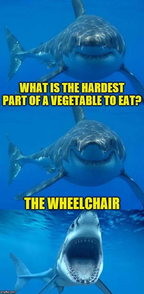 Bad Shark Pun  | WHAT IS THE HARDEST PART OF A VEGETABLE TO EAT? THE WHEELCHAIR | image tagged in bad shark pun | made w/ Imgflip meme maker