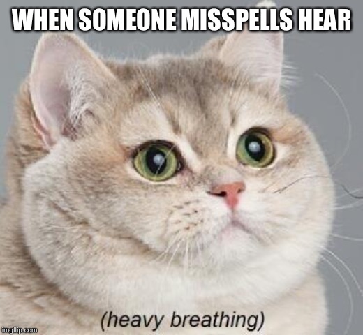 Heavy Breathing Cat Meme | WHEN SOMEONE MISSPELLS HEAR | image tagged in memes,heavy breathing cat | made w/ Imgflip meme maker