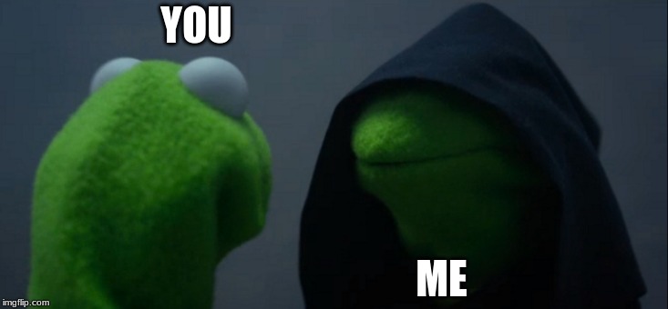 Evil Kermit | YOU; ME | image tagged in memes,evil kermit | made w/ Imgflip meme maker