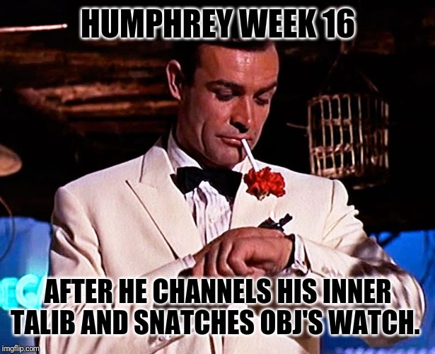 HUMPHREY WEEK 16; AFTER HE CHANNELS HIS INNER TALIB AND SNATCHES OBJ'S WATCH. | image tagged in baltimore ravens | made w/ Imgflip meme maker