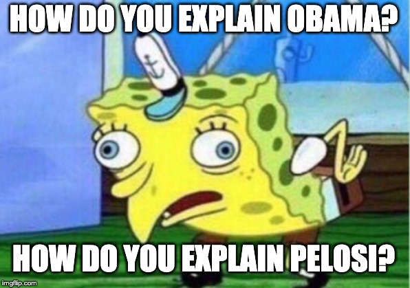 Mocking Spongebob Meme | HOW DO YOU EXPLAIN OBAMA? HOW DO YOU EXPLAIN PELOSI? | image tagged in memes,mocking spongebob | made w/ Imgflip meme maker