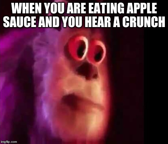 sullywhy | WHEN YOU ARE EATING APPLE SAUCE AND YOU HEAR A CRUNCH | image tagged in sullywhy | made w/ Imgflip meme maker