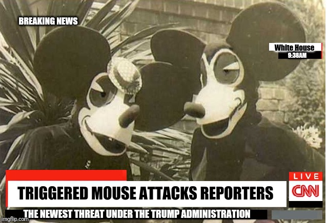 CNN Breaking News: Mouse attacks reporters under the Trump Administration | BREAKING NEWS; 9:38AM; White House; TRIGGERED MOUSE ATTACKS REPORTERS; THE NEWEST THREAT UNDER THE TRUMP ADMINISTRATION | image tagged in cnn fake news,mouse,donald trump,white house,animal attack,stupid liberals | made w/ Imgflip meme maker