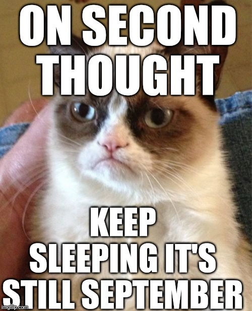 Grumpy Cat Meme | ON SECOND THOUGHT KEEP SLEEPING IT'S STILL SEPTEMBER | image tagged in memes,grumpy cat | made w/ Imgflip meme maker