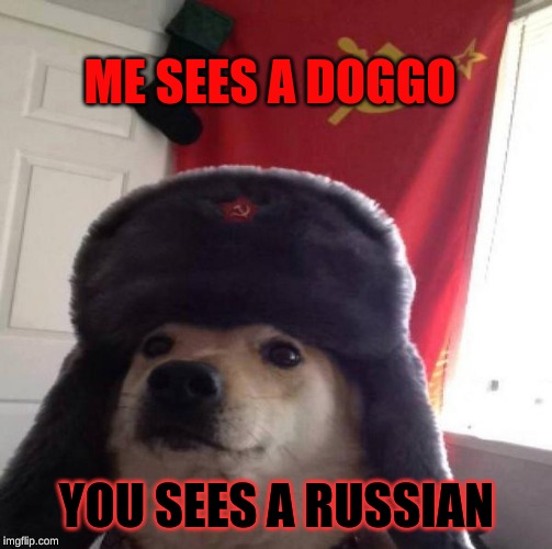 Russian Doge | ME SEES A DOGGO; YOU SEES A RUSSIAN | image tagged in russian doge | made w/ Imgflip meme maker