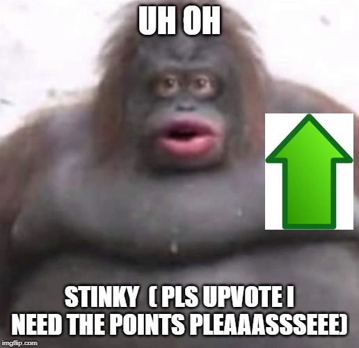 Le Monke | UH OH; STINKY  ( PLS UPVOTE I NEED THE POINTS PLEAAASSSEEE) | image tagged in le monke | made w/ Imgflip meme maker
