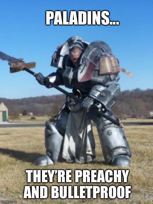 Heavy Armor | PALADINS... THEY’RE PREACHY AND BULLETPROOF | image tagged in heavy armor | made w/ Imgflip meme maker