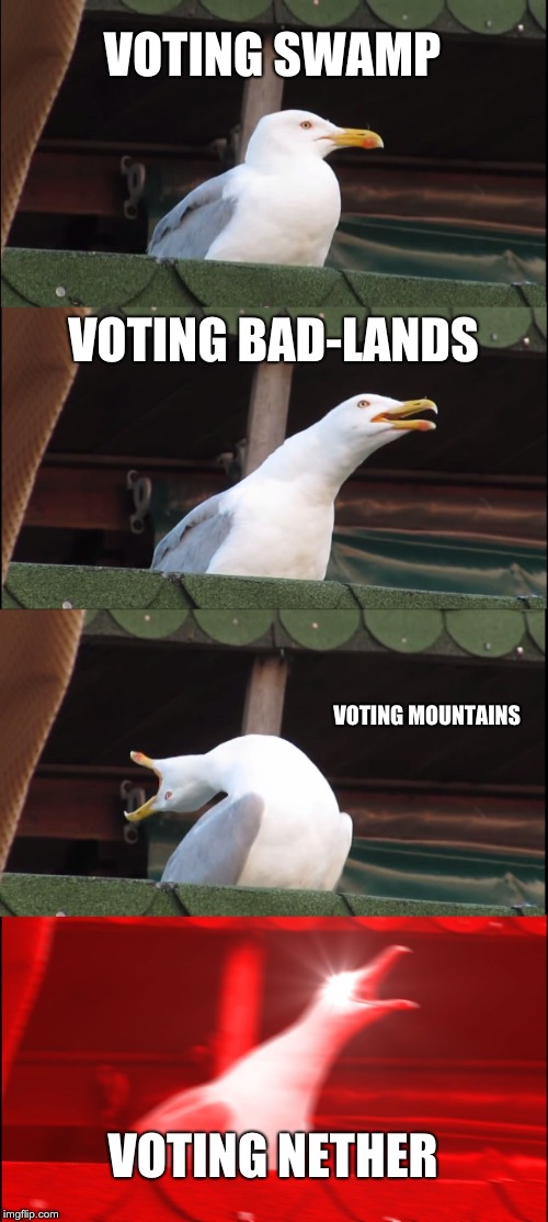 Inhaling Seagull Meme | VOTING SWAMP; VOTING BAD-LANDS; VOTING MOUNTAINS; VOTING NETHER | image tagged in memes,inhaling seagull | made w/ Imgflip meme maker