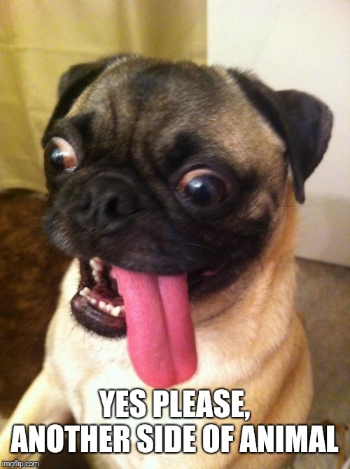 yes please | YES PLEASE, ANOTHER SIDE OF ANIMAL | image tagged in yes please | made w/ Imgflip meme maker