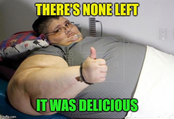 obese man thumbs up | THERE'S NONE LEFT IT WAS DELICIOUS | image tagged in obese man thumbs up | made w/ Imgflip meme maker