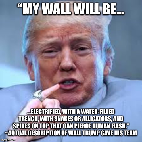 Trump Dr Evil | “MY WALL WILL BE... ...ELECTRIFIED, WITH A WATER-FILLED TRENCH, WITH SNAKES OR ALLIGATORS, AND SPIKES ON TOP THAT CAN PIERCE HUMAN FLESH.” ~ACTUAL DESCRIPTION OF WALL TRUMP GAVE HIS TEAM | image tagged in trump dr evil | made w/ Imgflip meme maker