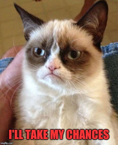 Grumpy Cat Meme | I'LL TAKE MY CHANCES | image tagged in memes,grumpy cat | made w/ Imgflip meme maker