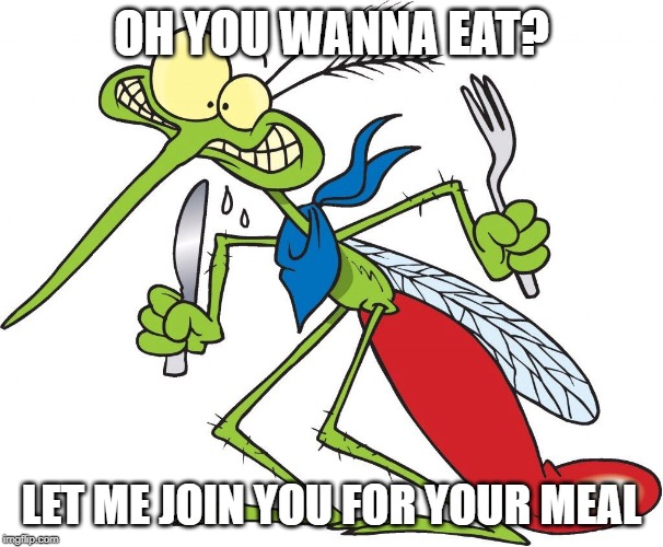 Parkhill mosquito | OH YOU WANNA EAT? LET ME JOIN YOU FOR YOUR MEAL | image tagged in parkhill mosquito | made w/ Imgflip meme maker