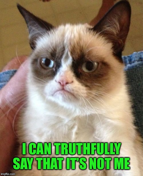 Grumpy Cat Meme | I CAN TRUTHFULLY SAY THAT IT’S NOT ME | image tagged in memes,grumpy cat | made w/ Imgflip meme maker