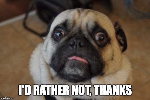 Pug worried | I'D RATHER NOT, THANKS | image tagged in pug worried | made w/ Imgflip meme maker